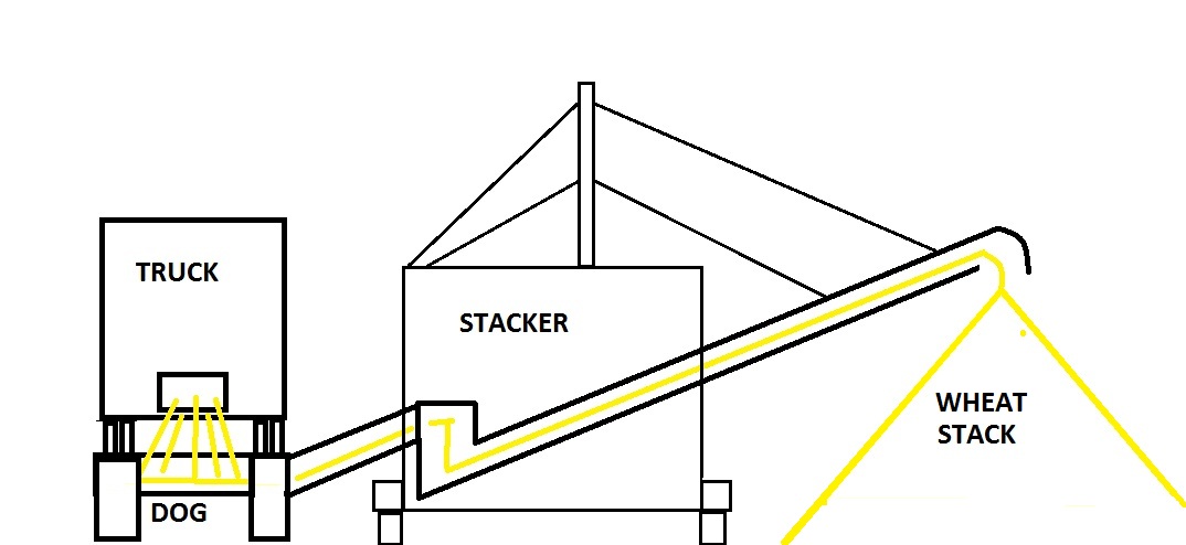 DOg adn Stacker